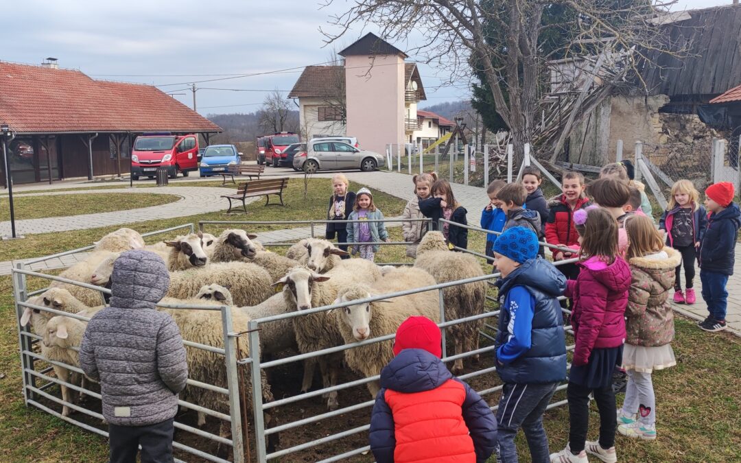 Dječji vrtić Krijesnica Hrvatska Kostajnica